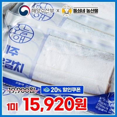 제주에서 올린 팔뚝만 한 은갈치 소문난 제주도 맛집 은갈치