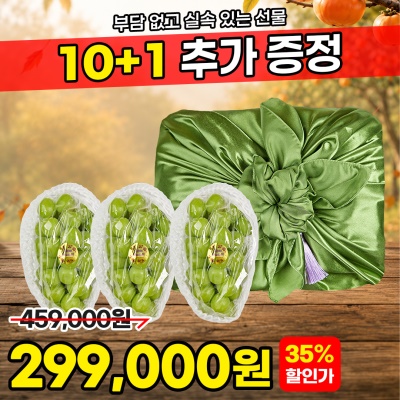 [10+1] 수출용 고당도 샤인머스켓 선물세트