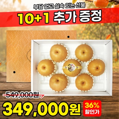 [10+1] 돌쇠인증 프리미엄 신고배 선물세트