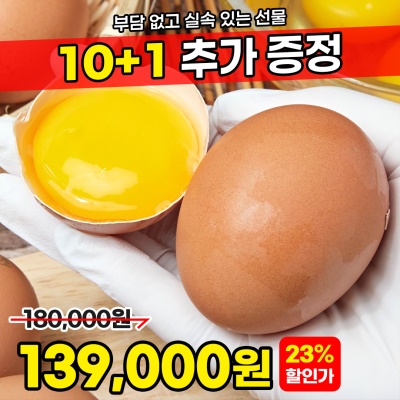 [10+1]무항생제 신선한 1+등급 특란 달걀 계란