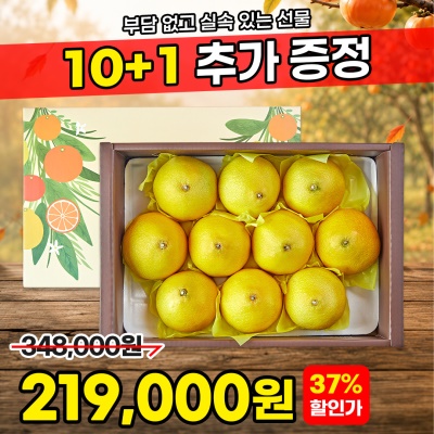 [10+1] 제주에서 직접 보내는 제주 황금향 선물세트 