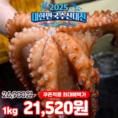 최상급 대사이즈 자연산 통영 활 돌문어 1kg (1-4미 내외)