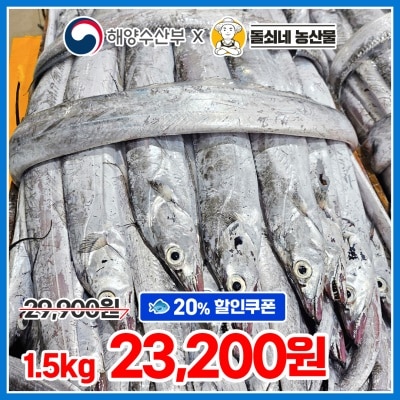 목포 산지직송! 싱싱한 국내산 생물 토막 먹갈치 1.5kg (9~10미 내외)
