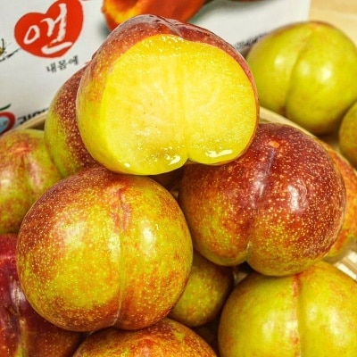 https://aka-dolfood.moall.shop/data/goods/sm7396/small/thum2/1_20250821011002119오후_1.jpg