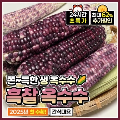 쫀득쫀득한 보성 햇 흑찰옥수수