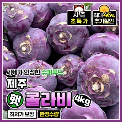 당도보장! 아삭하고 달큰한 제주 햇 콜라비 4kg