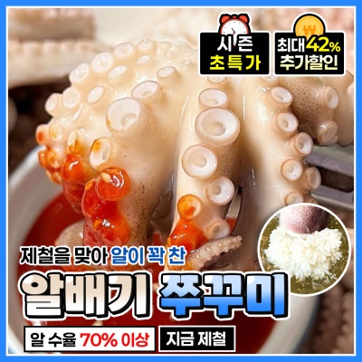 [특가할인] 수율 70%이상! 당일바리 알배기 쭈꾸미