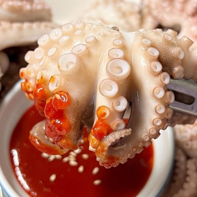 [300개 한정수량] 당일 조업! 쫄깃 담백! 싱싱한 국내산 활 쭈꾸미