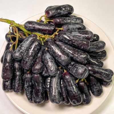 씨 없는 블랙 사파이어포도 가지포도 1kg 2kg