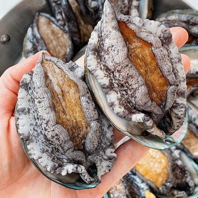 살아서 도착하는 최상급 완도 활 전복 1kg