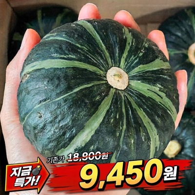 [땡처리] 국내산 하우스 햇 미니밤호박