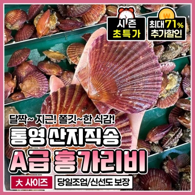 통영 A급 국내산 홍가리비 대사이즈 1kg (20미 내외)