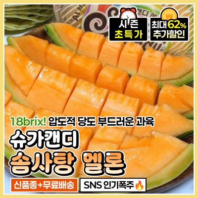 국내산 신품종 슈가캔디 솜사탕 멜론