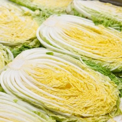 [예약출고] 아삭 아삭 신선한 25년 햇 해남 절임배추