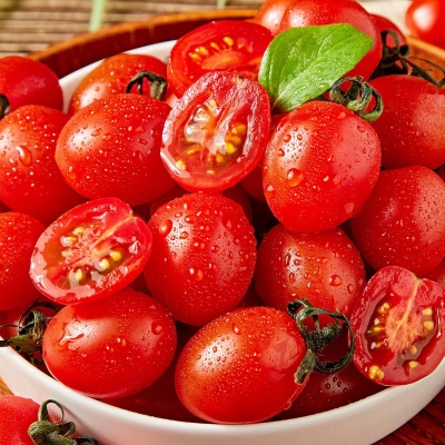 달콤하고 건강한 GAP 스테비아 토마토 1kg