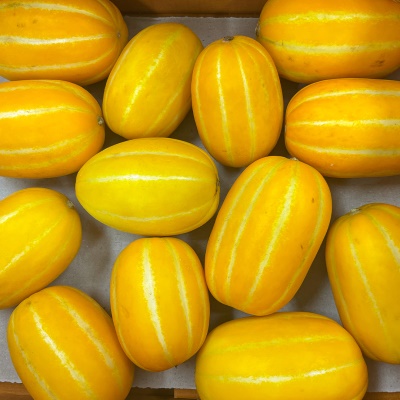 성주 가정용 꿀 참외