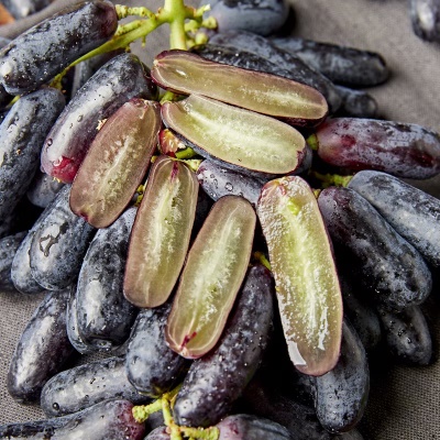 씨 없는 블랙 사파이어포도 가지포도 1kg 2kg