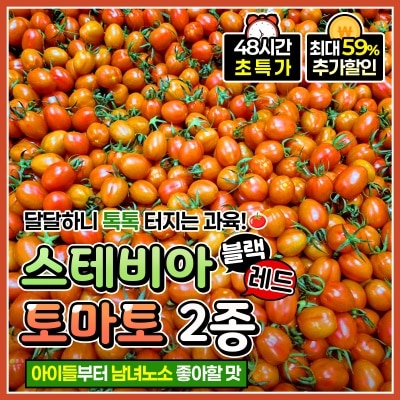 블랙 레드 스윗마토 스테비아 토마토 2종