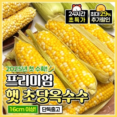 2025년 첫 수확! 달콤한 프리미엄 생 초당옥수수