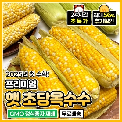 2025년 첫 수확! 달콤한 프리미엄 생 초당옥수수