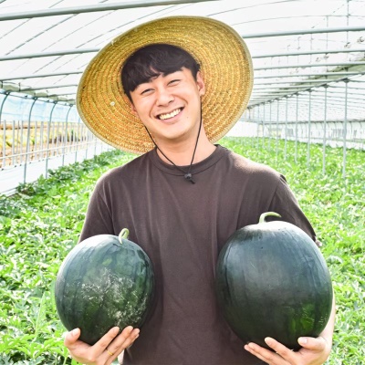 돌쇠네 자체선별 프리미엄 고당도 황토밭 흑수박