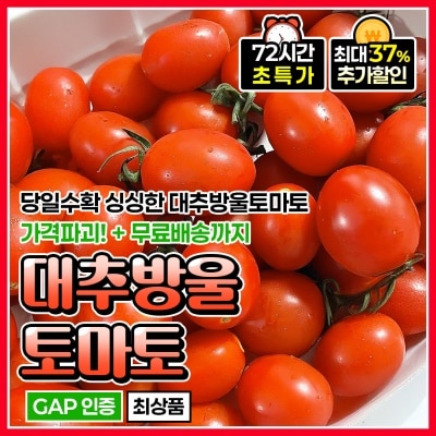 GAP 인증! 신선하고 당도 높은 빨간 방울토마토 대추방울토마토