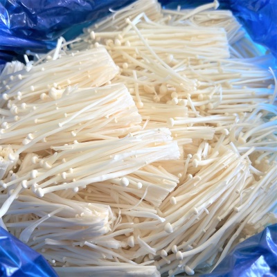 다양한 요리가 가능한 국내산 대용량 벌크 팽이버섯 2kg