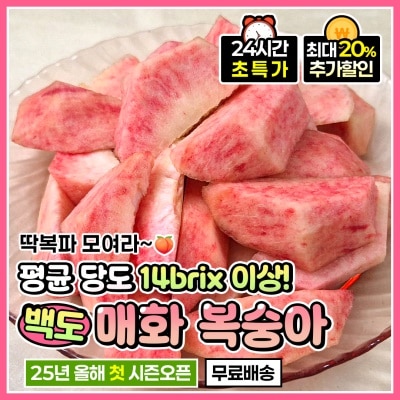 아삭하고 쫀-득한 고당도 딱딱이 매화 복숭아 피복숭아