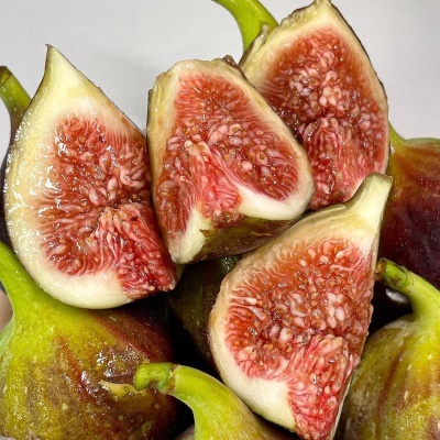 해풍맞은 영암 제철 하우스 홍무화과