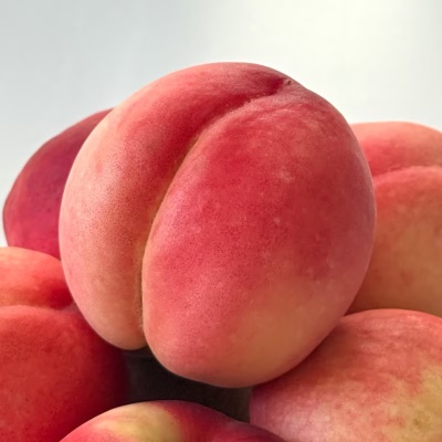 https://aka-dolfood.moall.shop/data/goods/sm7396/small/thum2/KakaoTalk_20250730_114620895_01.png