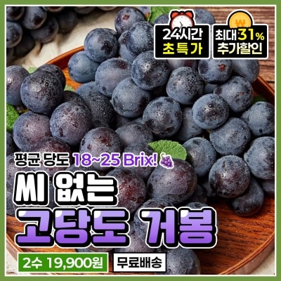 당도보장! 영동 BK시들리스 포도 씨 없는 포도 거봉