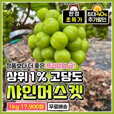 농가선별 상위 1% 수출용 고당도 샤인머스켓 1kg