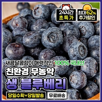 당일수확! 새콤달콤한 친환경 무농약 생 블루베리