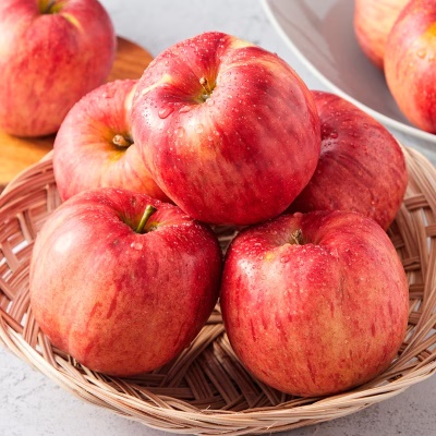https://aka-dolfood.moall.shop/data/goods/sm7396/small/thum2/KakaoTalk_20250827_091122152.png