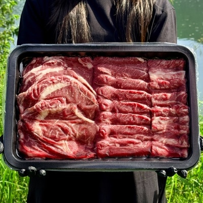 https://aka-dolfood.moall.shop/data/goods/sm7396/small/thum2/KakaoTalk_20250828_154721748.jpg