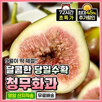신비의 과일 달콤한 제철 청무화과