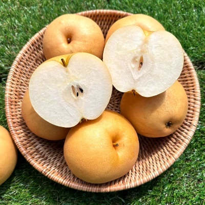 산지직송! 아삭 달콤한 25년 햇 가정용 신고배