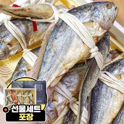 입이 떡 벌어지는 크기! 프리미엄 법성포 보리굴비 부세굴비 10마리