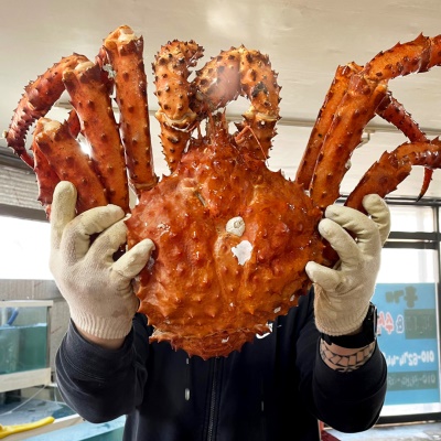 초신선 속살 꽉-찬 러시아 A급 프리미엄 레드 킹크랩