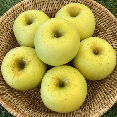 https://aka-dolfood.moall.shop/data/goods/sm7396/small/thum2/KakaoTalk_20251010_092948317.png