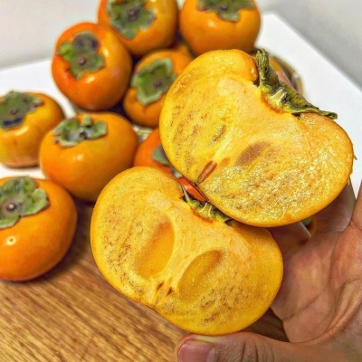 GAP인증 달콤한 제철 과일 창원 부유단감