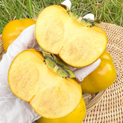 꿀을 품은 아삭아삭 달콤한 전라도 차량 단감