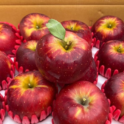 [특가할인] 복숭아를 닮은 돌쇠네 자체선별 엔부사과