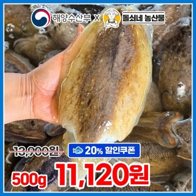 횟감 가능! 당일조업 싱싱한 제철 활 갑오징어 