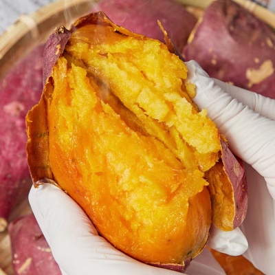 2025년 수확! 달콤한 햇 호풍미 고구마