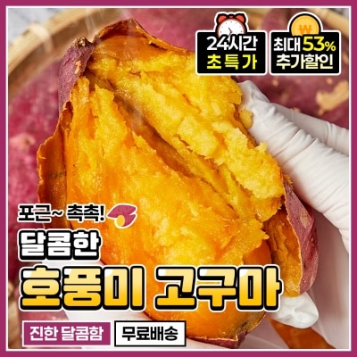 2025년 수확! 달콤한 햇 호풍미 고구마
