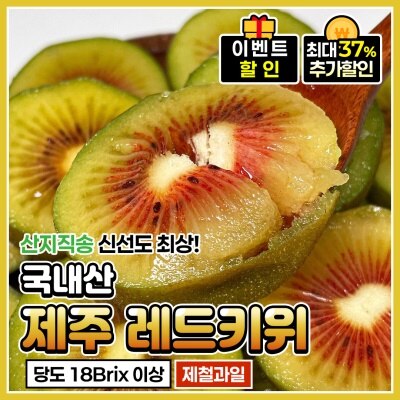 제주 산지직송 달콤한 레드키위 2kg 5kg
