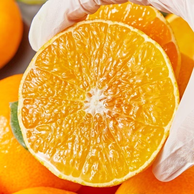 [특가할인] 돌쇠네 당도보장 프리미엄 제주 황금향