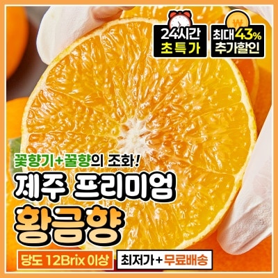 돌쇠네 당도보장 프리미엄 제주 황금향