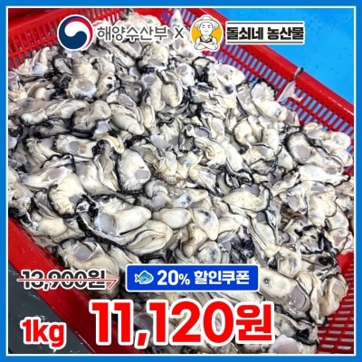[특가할인] 싱싱한 제철 통영 생굴 1kg